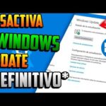 Temas y actualizaciones: cómo evitar desactualizaciones y problemas de compatibilidad