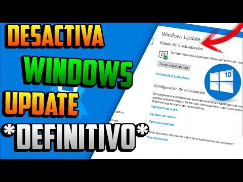 Temas y actualizaciones: cómo evitar desactualizaciones y problemas de compatibilidad