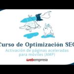 Soporte para AMP: Implementa Páginas Móviles Aceleradas con Éxito