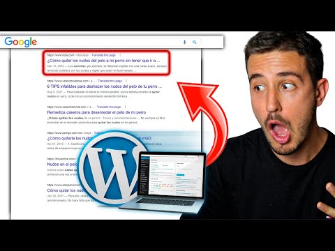 Guía definitiva de WordPress SEO para blogs en 2023