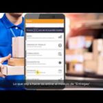 Gestión de pedidos: soluciones eficientes para administrar y hacer seguimiento