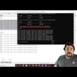 Optimización de la base de datos: Evita la lentitud con optimizaciones regulares