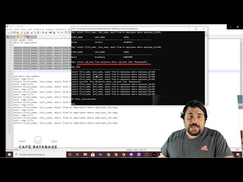 Optimización de la base de datos: Evita la lentitud con optimizaciones regulares